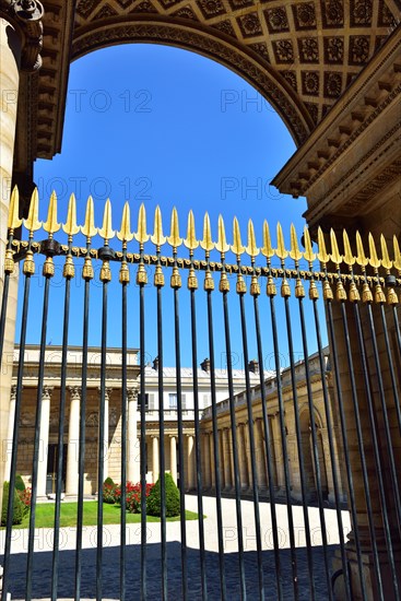 Fence with gold tips