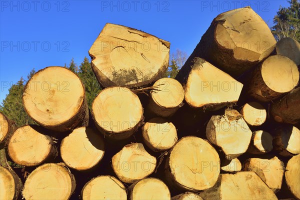 Stacked logs