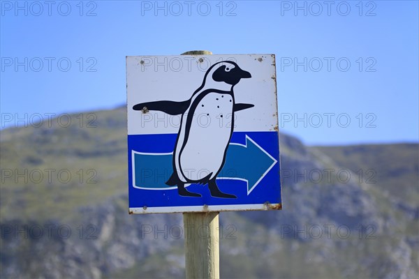 Signpost with penguin