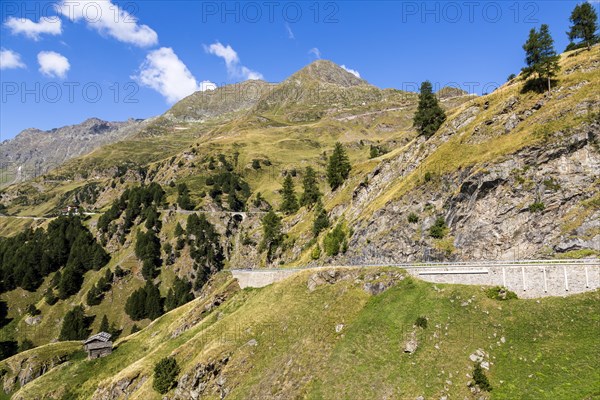 Mountain pass road
