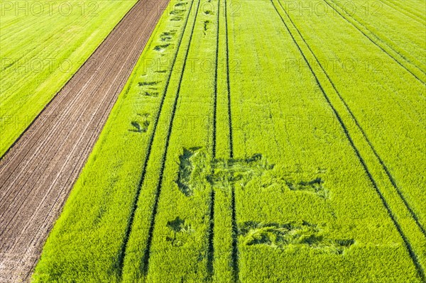 Drone shot