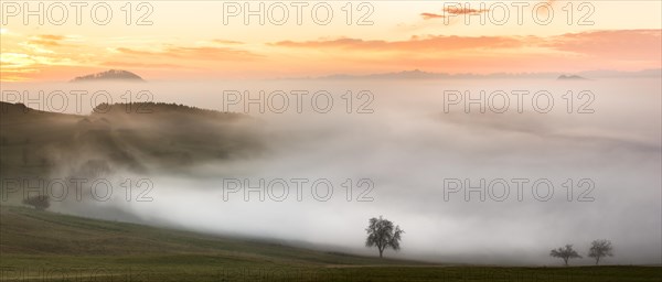 Foggy view of Bisberg