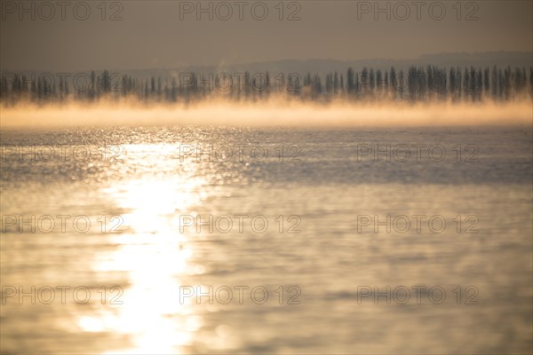 Reichenau island dam and poplar avenue on Lake Constance