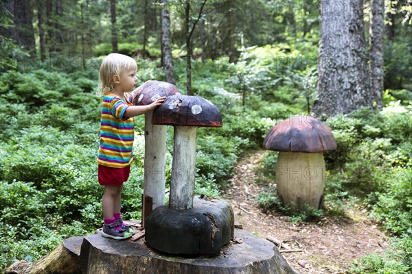 Toddler at carved wooden mushrooms