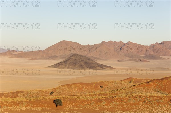 Sand dunes covered with bushman grass (Stipagrostis sp.)