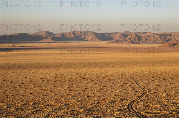 Grass covered desert plain at the edge of the Namib Desert