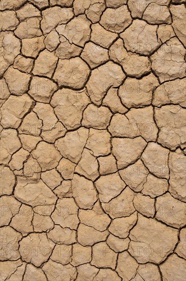 Dry earth