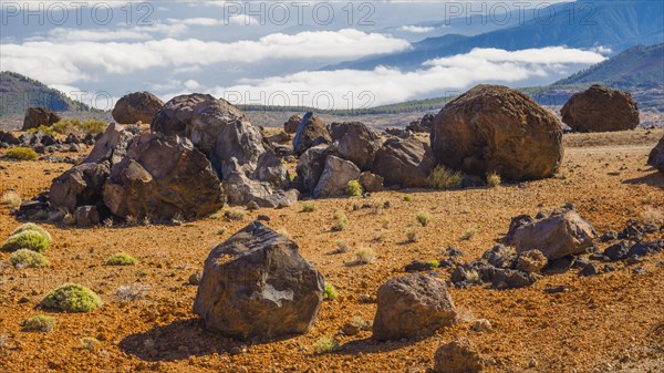 Huevos del Teide