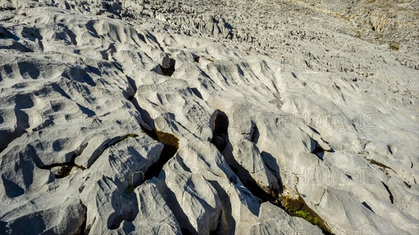 Glacial fluting on the Gottesackerplateau