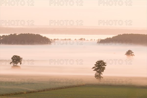 Misty morning atmosphere