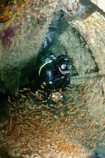 Diver with a swarm of Glassy Sweepers