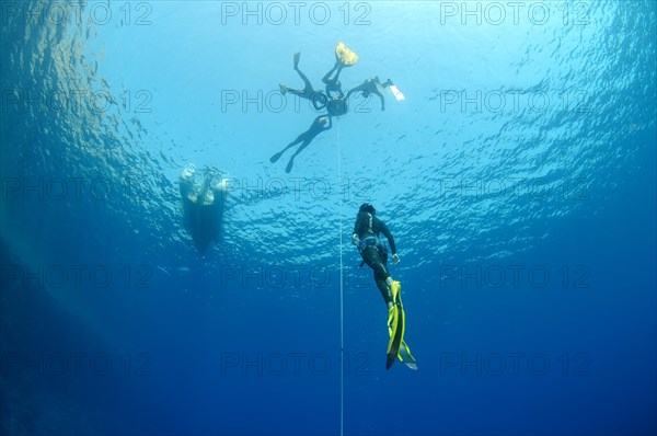 Freediving in Red Sea