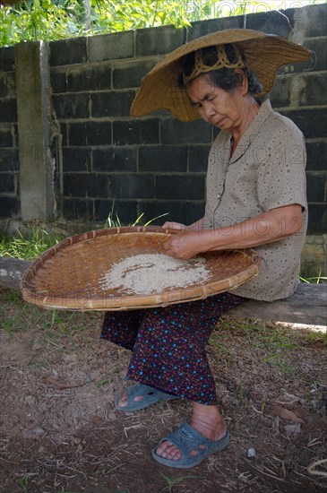 An elderly Thai woman cleaning rice grains