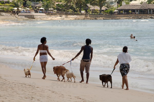 Two women and a man walking dogs on the beach