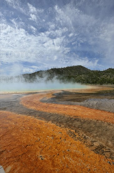 Grand Prismatic Spring