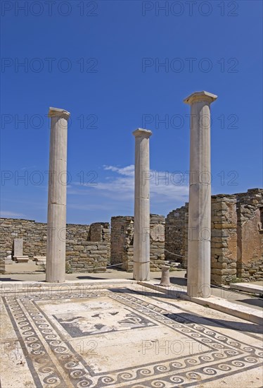 Mosaic floor in the ruins of the ancient city of Delos