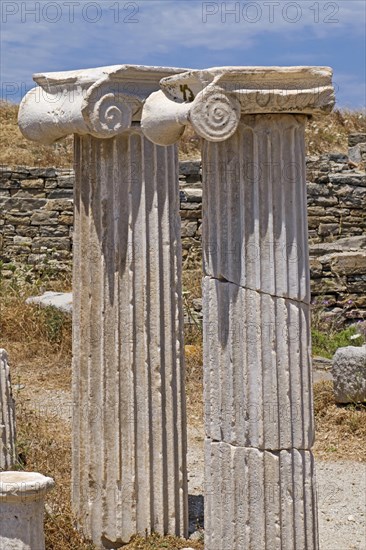 Delphic capital of a pillar