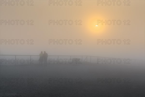 midnight sun in fog