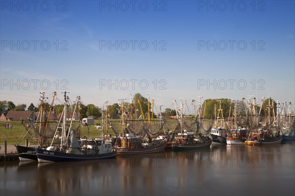 Shrimp boats in the harbour