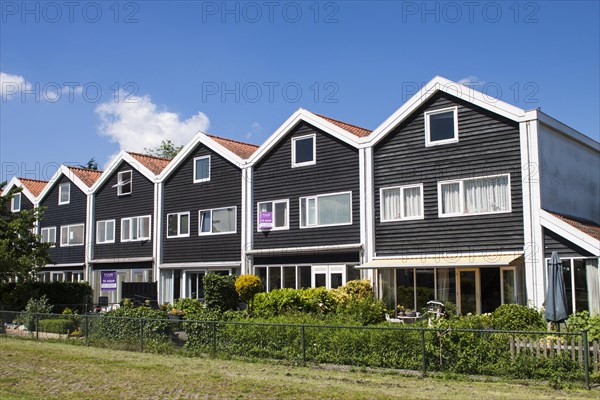 Clapboard houses in the suburbs of Haarlem