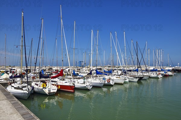 Sailboats in the harbor