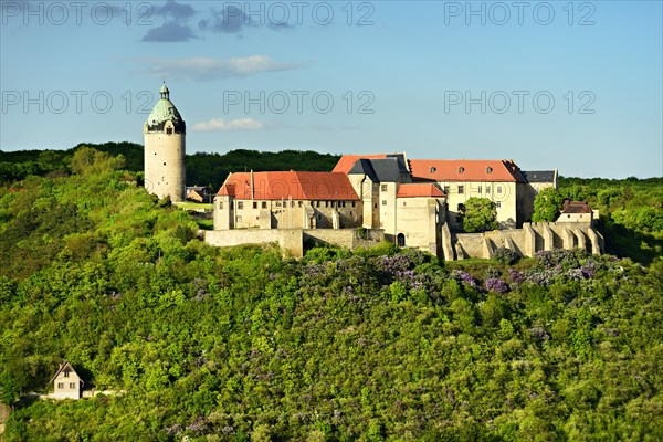 Neuenburg Castle