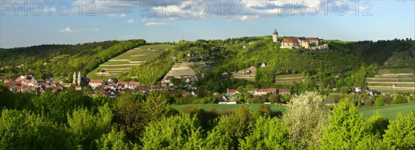 Panorama of Freyburg with Neuenburg Castle