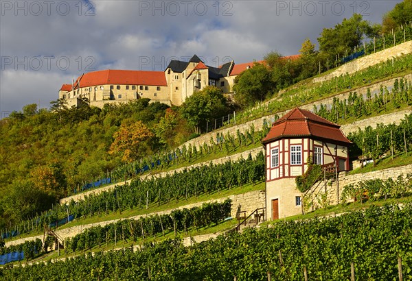 Ducal vineyard and Weinberghaus