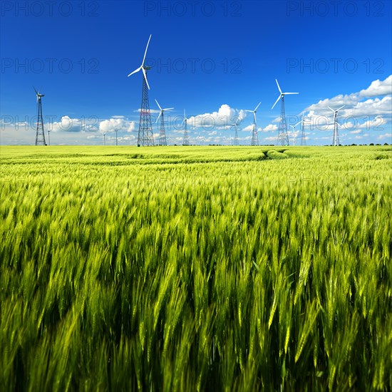 Wind turbines in barley field in spring