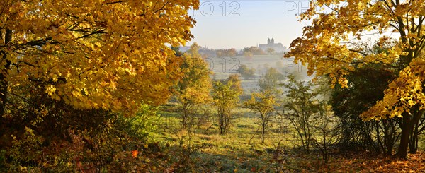 Autumn landscape in Quedlinburg