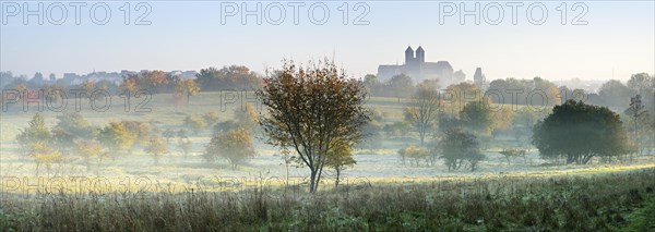 Autumn landscape