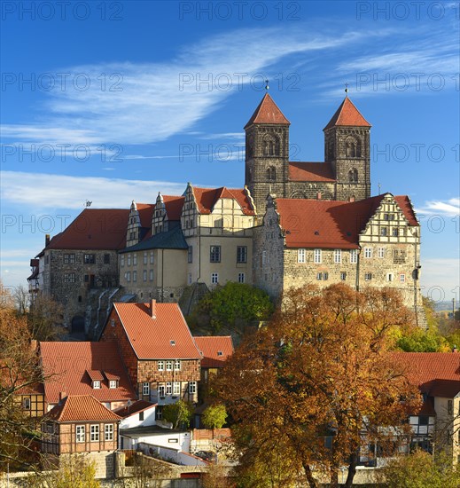 Castle hill with collegiate church of St. Servatius