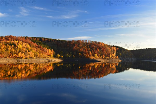 Deciduous forest on bank of Rappbode Dam