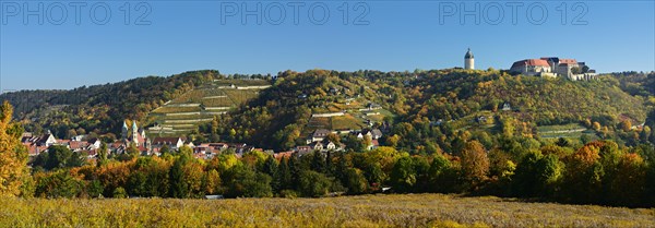 Panorama view of Freyburg with Castle Neuenburg