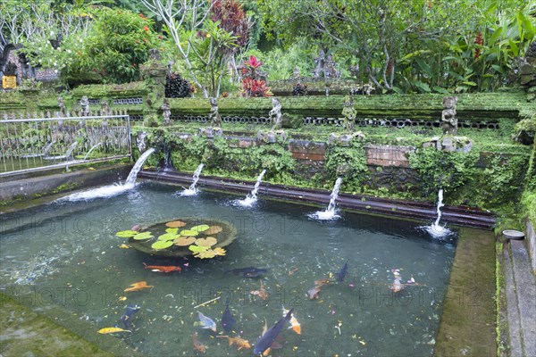 Holy springs at Pura Gunung Kawi Sebatu temple