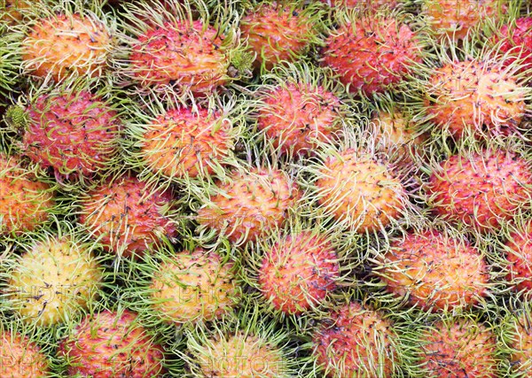 Rambutans