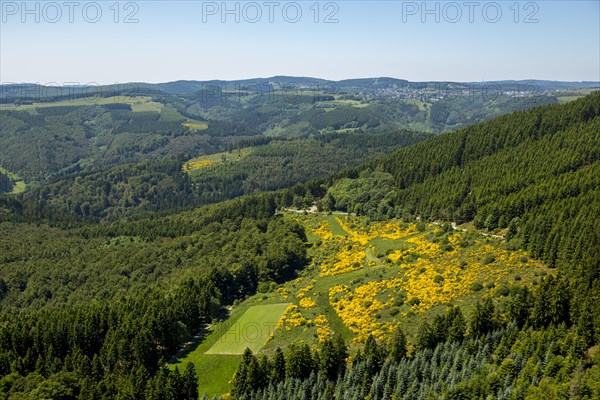 Mountain scenery with juniper meadows