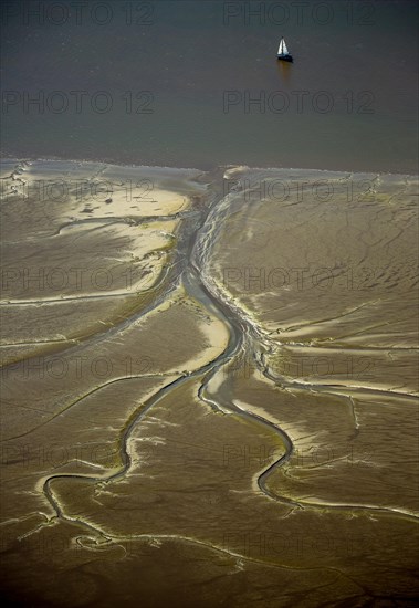 Tidal creeks at low tide on Halbkalbsand island in the river Elbe