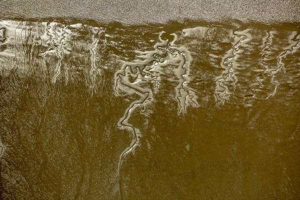 Tidal creeks at low tide on Halbkalbsand island in the river Elbe