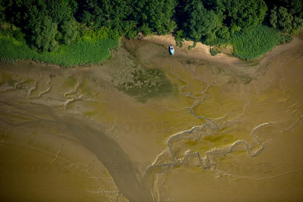 Tidal creeks at low tide on Halbkalbsand island in the river Elbe