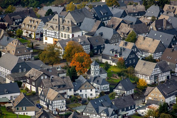 Timbered houses