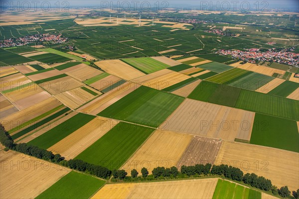 Fields in autumn