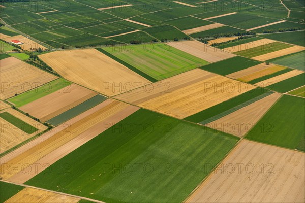 Fields in autumn