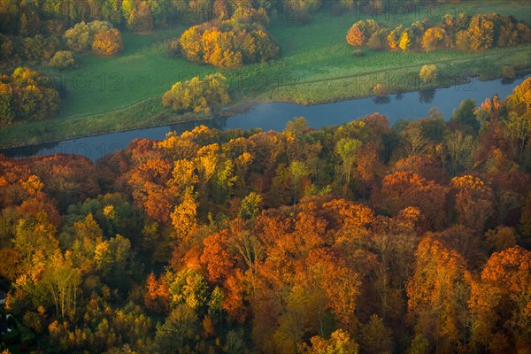 Autumn forest by the river Ruhr