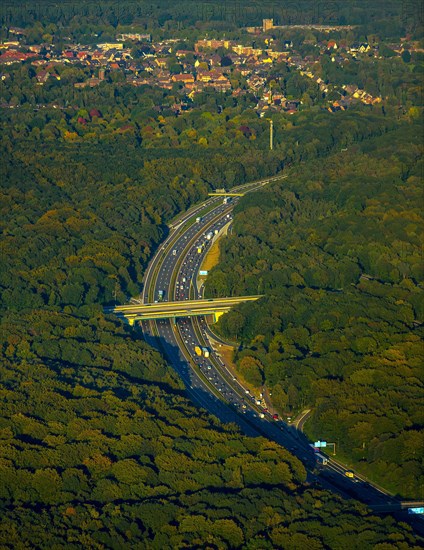 A3 motorway through forest
