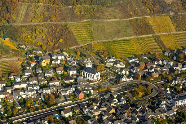 People Village with vineyards in autumn