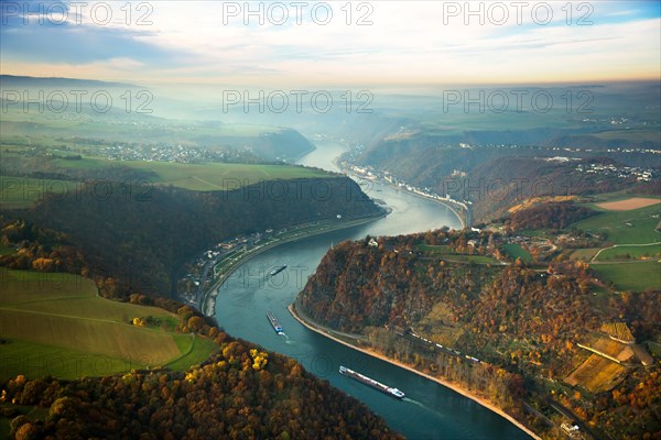 Loreley