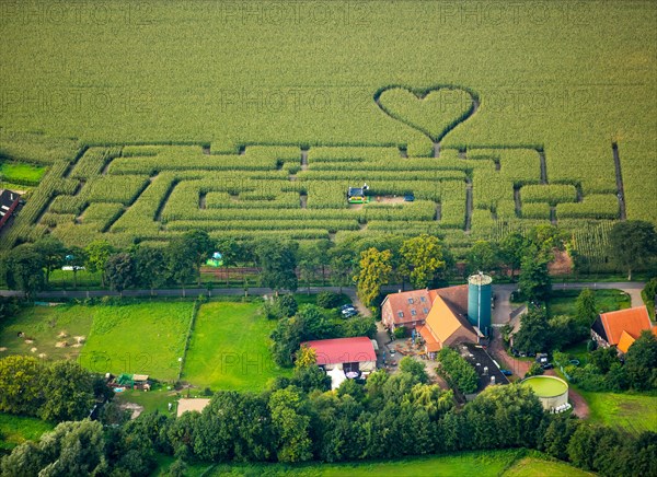 Labyrinth with a heart in the cornfield