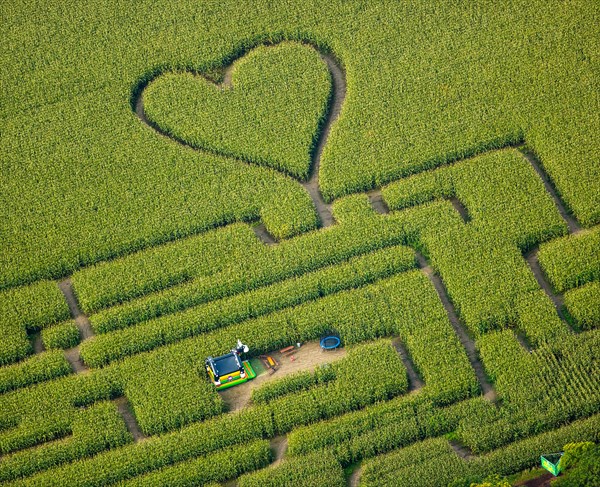 Labyrinth with a heart in the cornfield