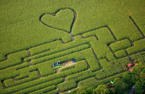 Labyrinth with a heart in the cornfield